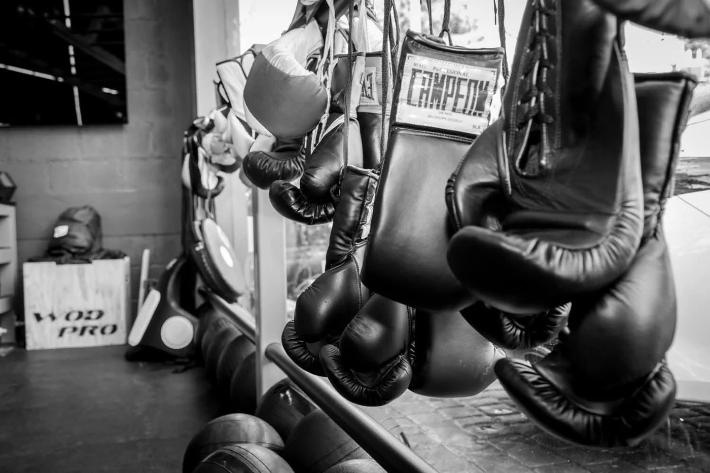 Unleash Your Inner Champion